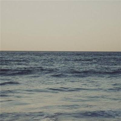 乐鱼竞彩官网下载手机版