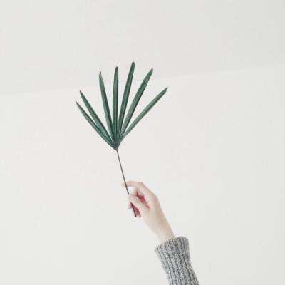 威斯尼斯wns888入口