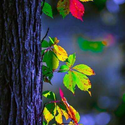 安博体育最新登录地址